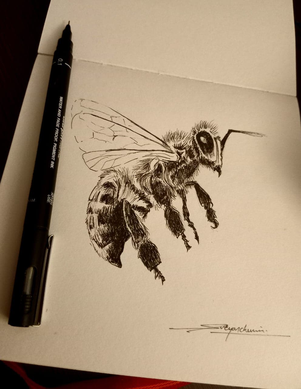 pen sketch